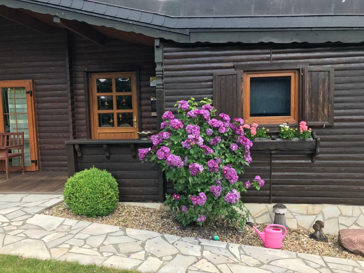 Villa Holzhaus Harz Schielo Esterno foto